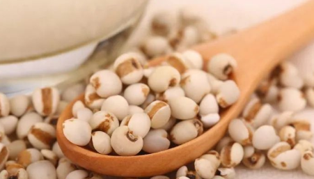 Learn About a Chinese Herb Every Day - Coix Seed (Yì Yǐ Rén)