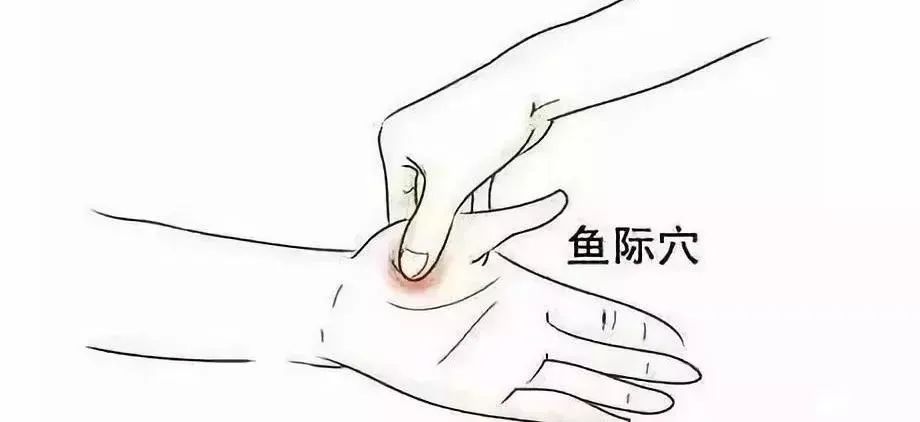 Xinglin Morning Report | Sore Throat, Fever, Cough? Wind-Heat Cold is Coming! A Classic Formula Can Solve It