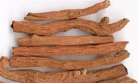 Traditional Chinese Medicine Herb: Dan Shen