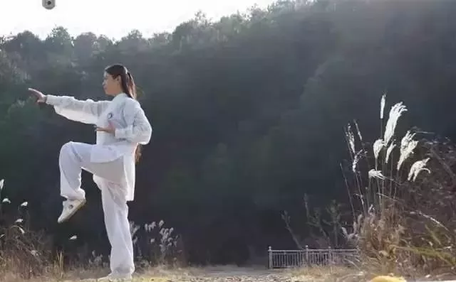 Five Essential Points of Tai Chi Practice
