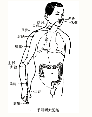 Illustration of the Twelve Meridians