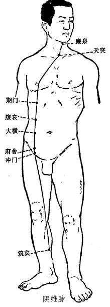 The Concept and Physiological Characteristics of the Eight Extraordinary Meridians