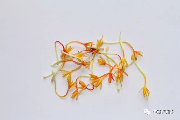Knowledge of Chinese Herbal Medicine: Safflower