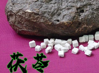 Daily Herb: Poria (Fú Línɡ)