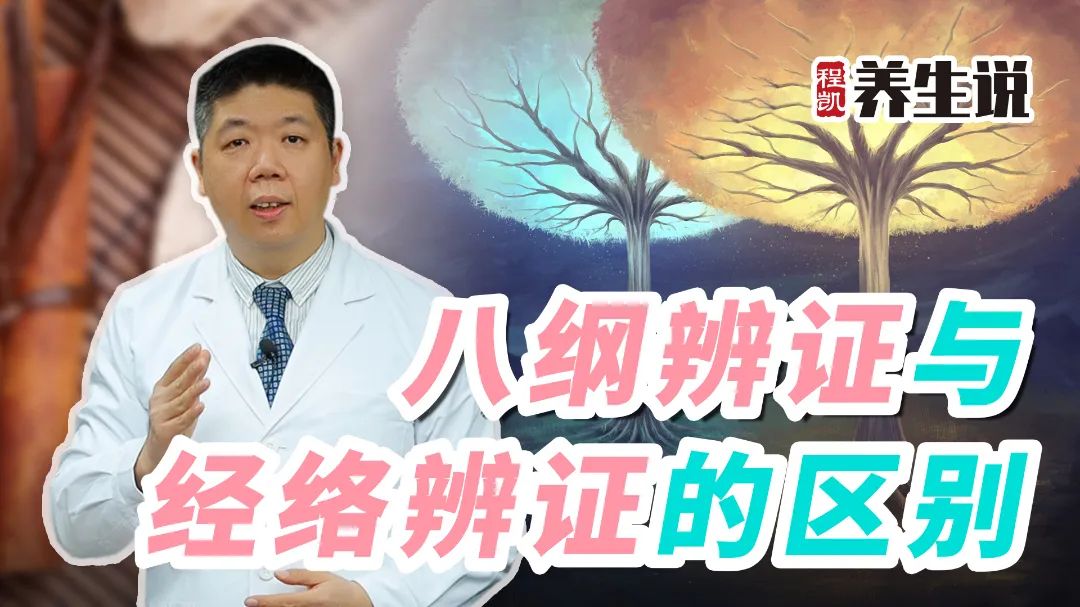 The Differences Between Eight Principles Diagnosis and Meridian Diagnosis in Traditional Chinese Medicine