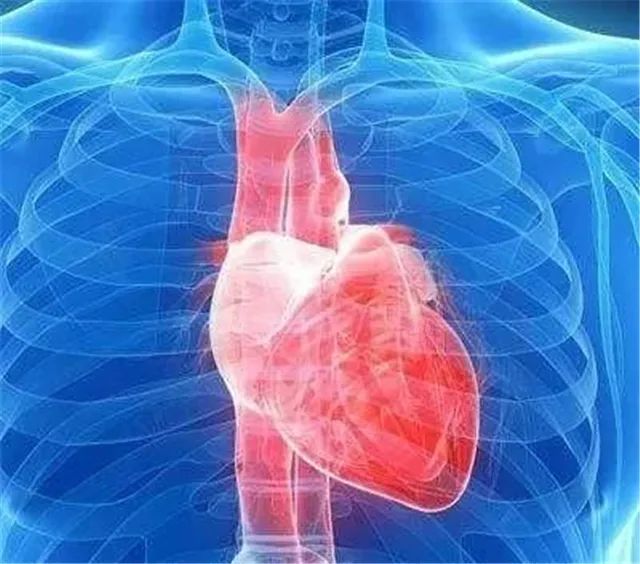 Understanding Cold Conditions in the Heart, Liver, and Kidneys in Traditional Chinese Medicine