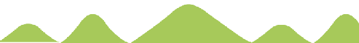 Dan Shen: Not Just a Supplement, but a Vital Herb for Blood Circulation and Calming the Mind