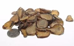The Application of Fuzi (Aconite) by Dr. Li Ke in Traditional Chinese Medicine