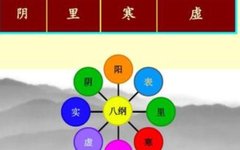 Deep Insights into the Eight Principles of Diagnosis