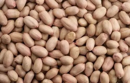 Health Benefits of Whole Grains: Formulas for Wellness