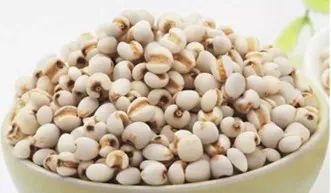 Understanding Coix Seed: A Comprehensive Guide