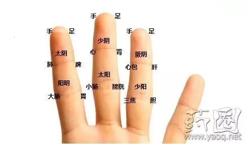 Remembering the Twelve Meridians with a Seven-Character Phrase!