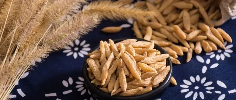 Understanding Yin Deficiency in Traditional Chinese Medicine: How to Nourish Your Body