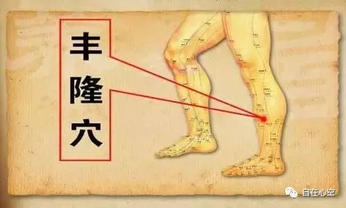 The Fifteen Collaterals in Traditional Chinese Medicine