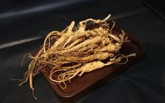 The Rich History of Ginseng: More Than Just a Herb