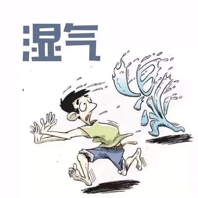 Eight Essential Tips for Eliminating Dampness in Traditional Chinese Medicine