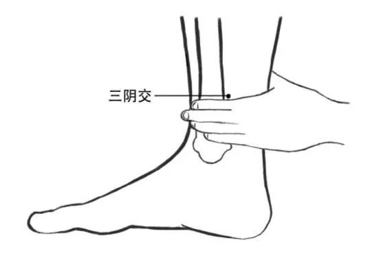Five Acupuncture Points for Promoting Blood Circulation and Resolving Stasis