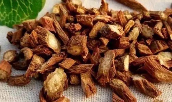 The "Golden Partner" of Danshen: Regular Consumption May Promote Blood Circulation and Dissolve Thrombus