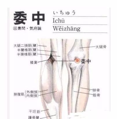50 Common Acupuncture Points for Treating Various Ailments