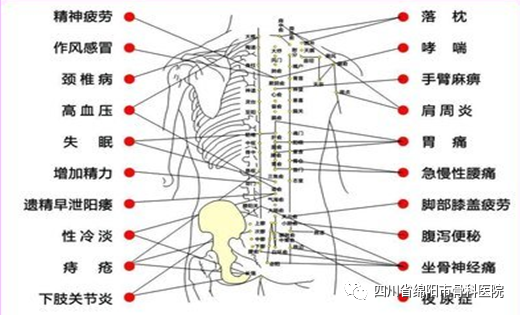 The Profound Knowledge of Cupping Therapy in Traditional Chinese Medicine