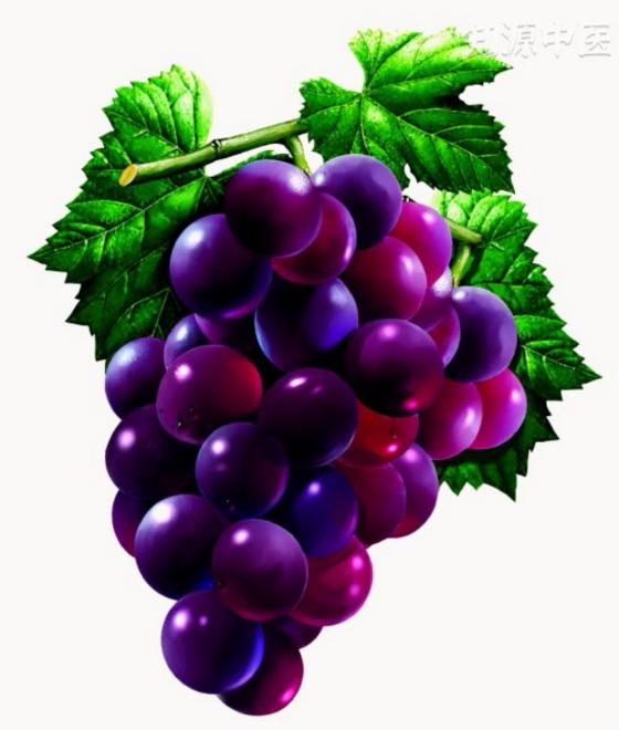 Health Preservation Through Diet: The Wonders of Grapes in Traditional Chinese Medicine