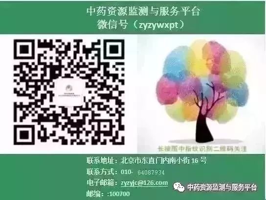Coptis chinensis: A Comprehensive Overview of Its Characteristics, Habitat, and Medicinal Uses
