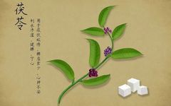 The Comprehensive Guide to Poria: Legends, History, Identification, Efficacy, and Health Recipes