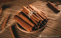 Exploring Cinnamon: Understanding Its Varieties and Uses in TCM