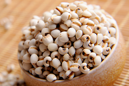 Traditional Chinese Medicine Health Preservation - Five Major Benefits of Coix Seed You Should Know!