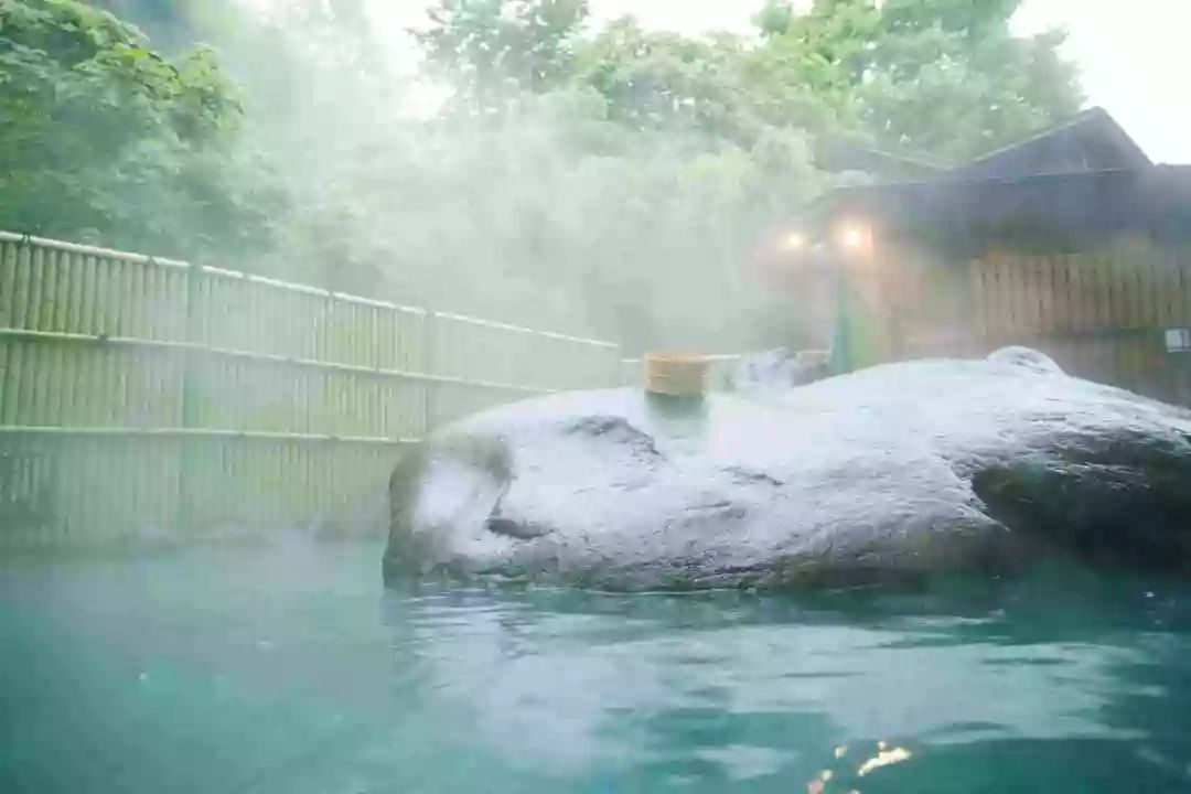 Caution for Individuals with Yin Deficiency Constitution Regarding Hot Springs and Saunas