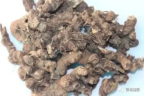 Daily Learning of a Chinese Herb: Atractylodes