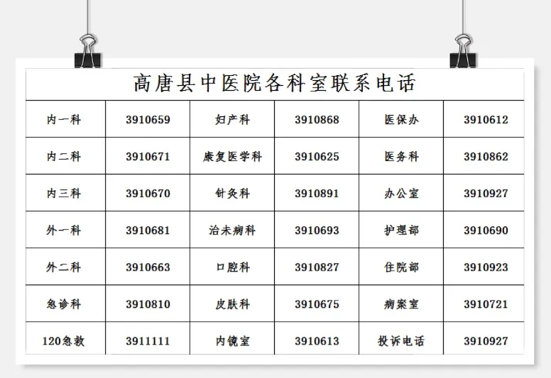 Understanding TCM Body Constitutions and Health Preservation