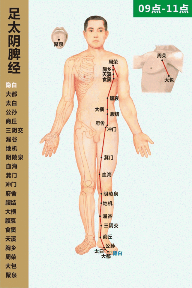 The 12 Time Periods and 12 Meridians: A Memory Aid!