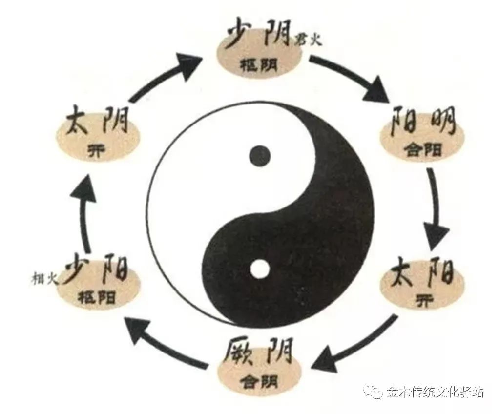 The Eight Principles of TCM Diagnosis (Recommended for Collection)