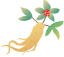 Health Guidance: Preventing Exogenous Diseases in TCM (Part 1)