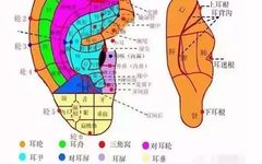 Moxibustion on This Specific Area Equates to Nourishing the Entire Body's Meridians! It's Not Too Late to Start!