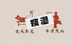 The Five Major Characteristics of Phlegm-Damp Constitution and Its Regulation Methods!
