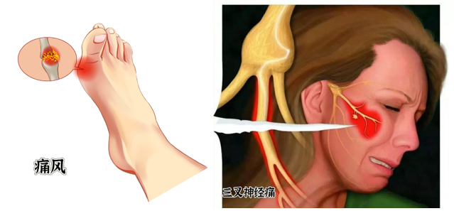Traditional Chinese Medicine Techniques: Small Bodies, Great Energy