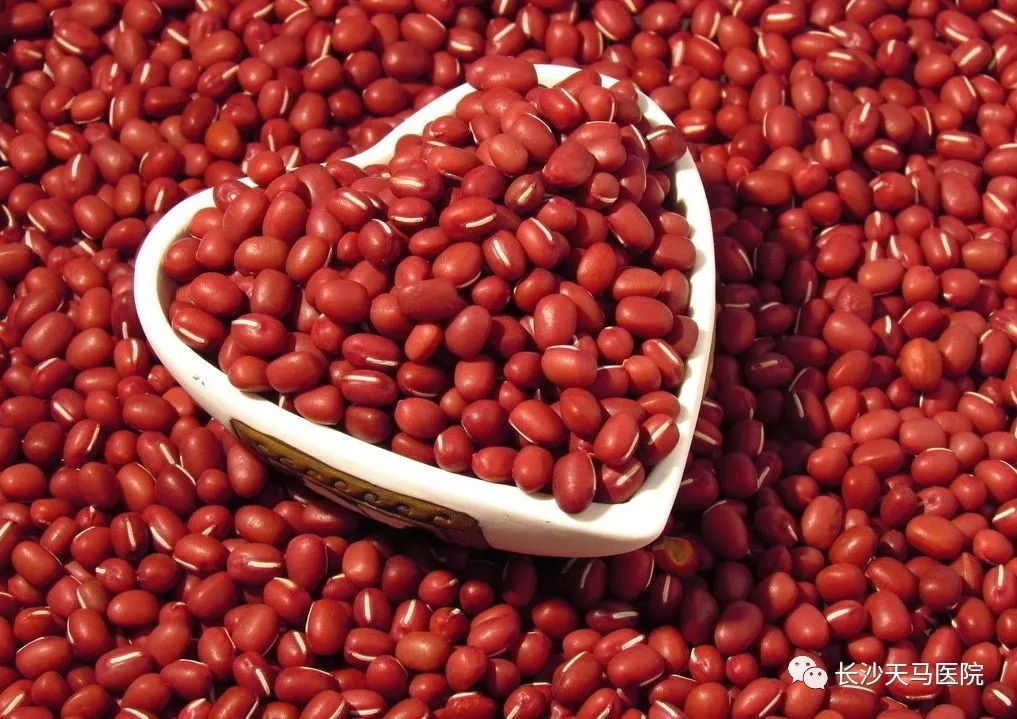 Foods That Quickly Nourish Blood for Anemia
