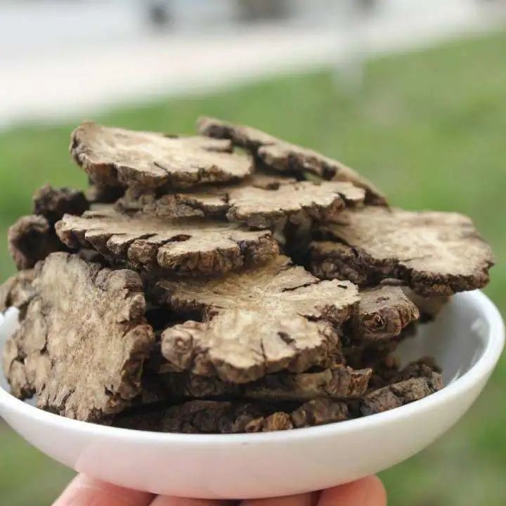 Pharmaceutical Science│ The Blood-Invigorating and Qi-Activating Properties of Chuanxiong (Ligusticum chuanxiong)