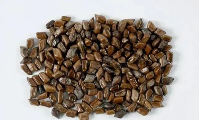 9 Types of Heat-Clearing and Detoxifying Chinese Herbs