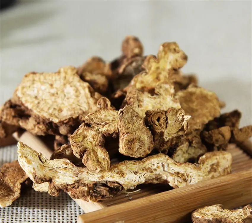 Traditional Chinese Medicine: Essential Knowledge About Cang Zhu (Atractylodes)