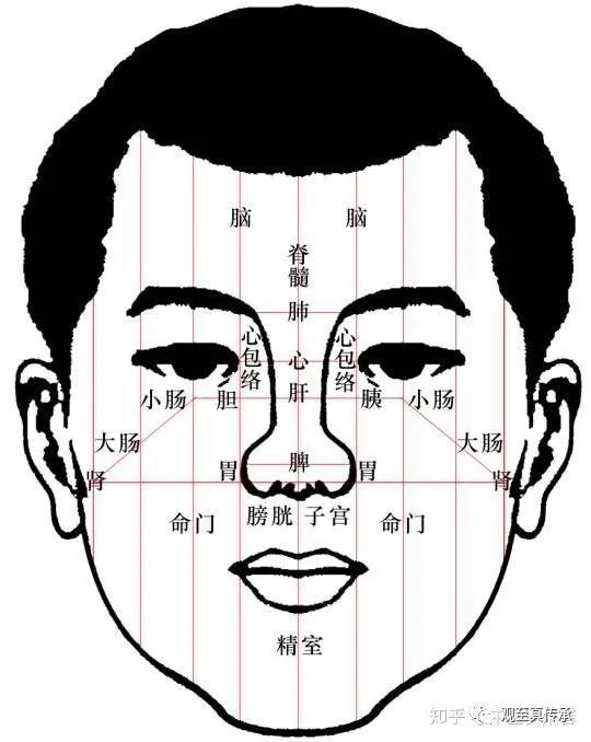Observing Changes in the Five Organs through Facial Diagnosis