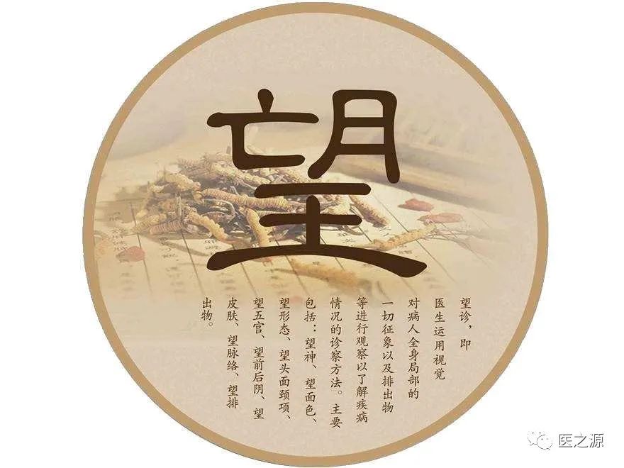 Introduction to Traditional Chinese Medicine: Chapters One and Two of TCM Diagnosis (Introduction and Observation Diagnosis)
