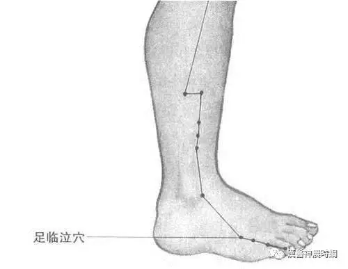 The Extraordinary Eight Meridians in Traditional Chinese Medicine