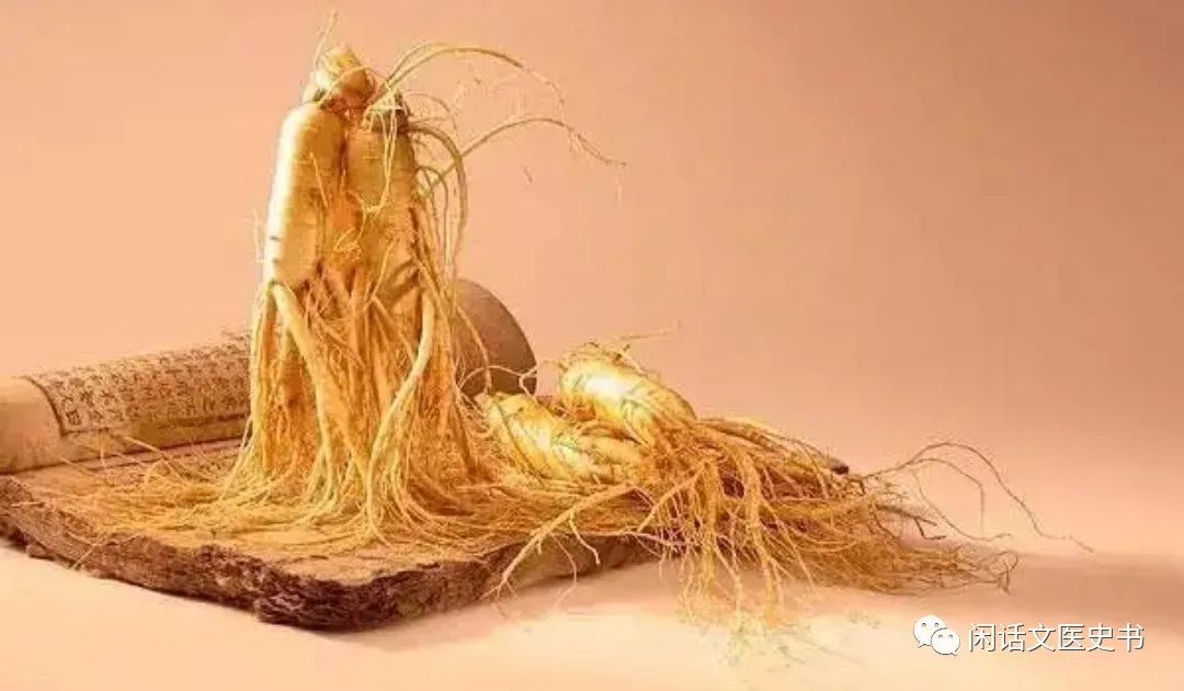 A Brief Discussion on Ginseng