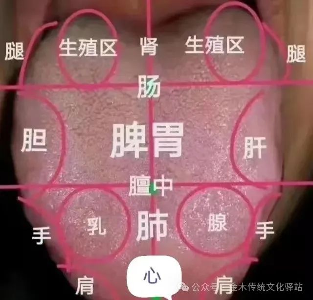 Traditional Chinese Medicine Tongue Diagnosis (Recommended for Collection)