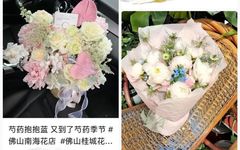 The Arrival of Peony Season: A Beautiful and Valuable Traditional Chinese Medicine