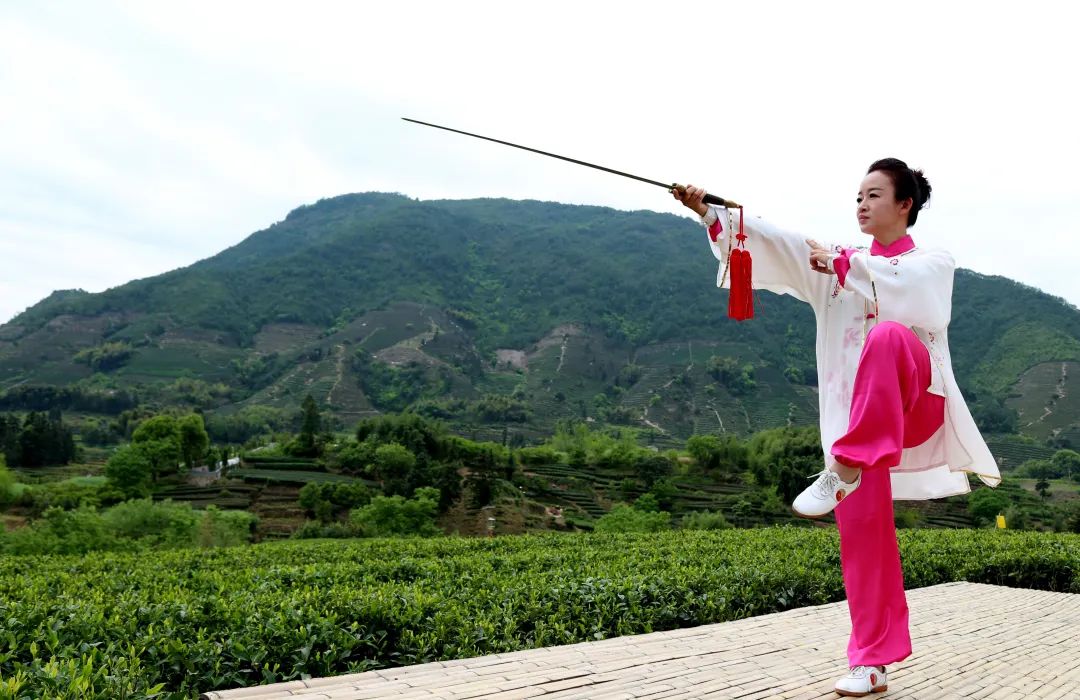 Why Do We Learn Tai Chi? More Than Just 6 Reasons