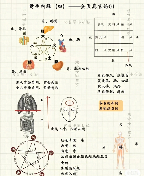 Mind Map of the Huangdi Neijing (Essential Content)